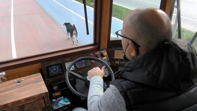 "DURAKLARDA BZMLE BRLKTE DNLENYOR"    Kpein her seferde son duraa kadar kendilerine elik ettiini syleyen Yalnkaya, "Ben de kendisiyle ilgilenmeye baladm. Onun bakmlarn yaptrdm. Arkada olduk. smini 'Kara Tren' koyduk. Bizim 2,5 kilometre yolumuz var. Bu yol boyunca benim nmde yryor, bazen sama veya bazen soluma geiyor. Bir nevi bana eskortluk yapyor. Duraklarda da bizimle birlikte dinleniyor" diye konutu.