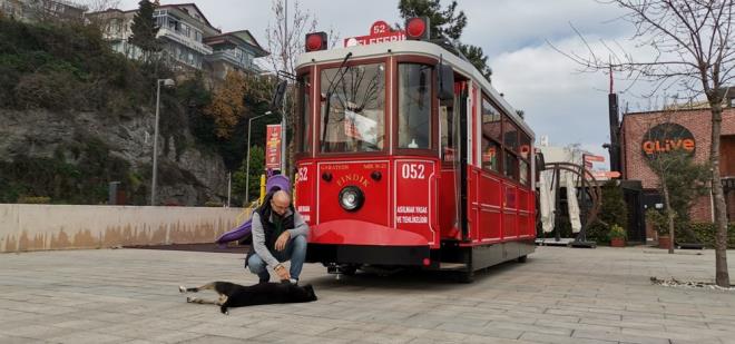 Ordu'nun Altnordu ilesinde sokak kpei, Atatrk Bulvar'nda Rhtm ile Teleferik alt istasyonu arasnda sefer yapan nostaljik elektrikli tramvay takip ediyor.