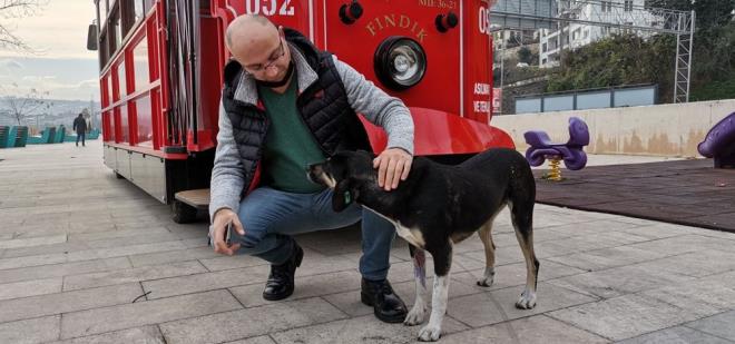 "TRAMVAYA KMSEY YAKLATIRMIYOR"    Tramvayn yanna sokak kpeklerini de dahil kimseyi yaklatrmadn syleyen Yalnkaya, "Ben durduum zaman duruyor. Onu seviyoruz. O da bizi seviyor. Yolcularmz da bu duruma alt. Herkes seviyor. Biz de ona elimizden geldii kadar bakmaya alyoruz. Yemeini alyoruz. Bazen restoranlardaki arkadalardan yiyeceklerini temin etmeye alyoruz" diye konutu.