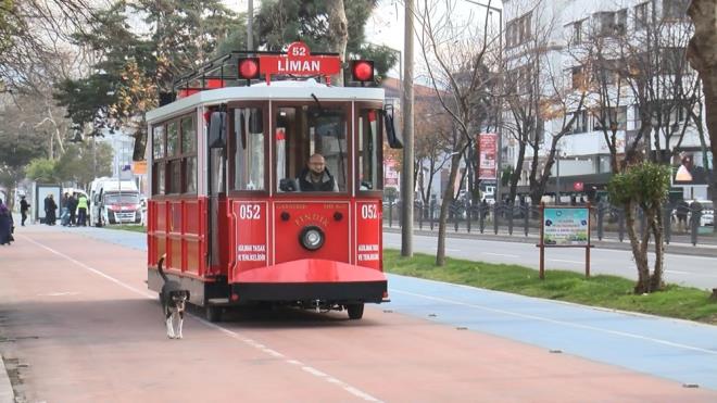Vatman Mehmet Ali Yalnkaya, sefer yapmaya baladklarndan itibaren kpein kendilerini takip ettiini belirterek, "Belediyemiz, kentimizde nostaljik olarak turistlik amal tramvay seferlerine balad. Eyll aynda ilk olarak seferlerimize baladk. Seferlerimizi dzenlediimiz srada bir sokak kpeinin srekli olarak bizi takip ettiini fark ettik" dedi.