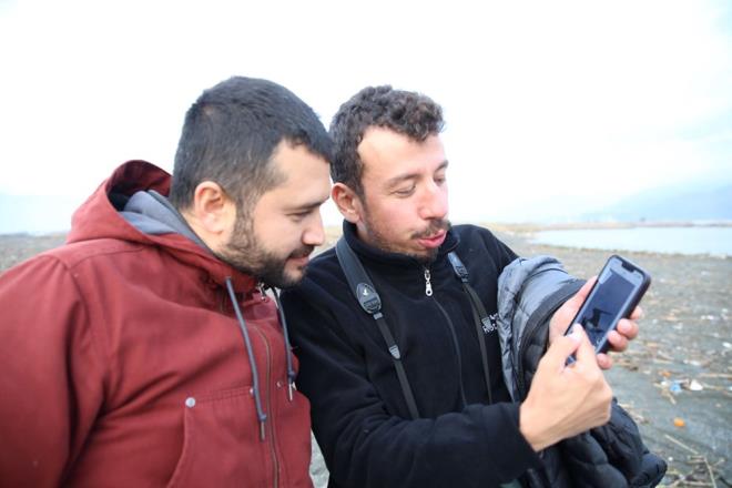 Kl rengi yelkovan kuunun Trkiye'de ilk kez kaydedilen bir okyanus kuu olduunun altn izen Yourtcuolu, yle devam etti:    "Kl rengi yelkovan kuu sadece Mileyha ya da Hatay iin deil, Trkiye iin de yeni bir tr oldu. Bir okyanus kuu. Bu okyanus kuu ok nadir az sayda Akdeniz'e giriyor. Biz akas Hatay'da ya da Trkiye'nin gney kylarnda bu kuu yllardr aryoruz. Birok ku gzlemcisi kl rengi yelkovann kacan dnyordu ama gremiyordu.  Trkiye'nin 494. tr kl rengi yelkovan oldu. Eer 6 tr daha bulursak 500'nc tre ulaacaz ve 500 tr demek bir lke iin ok iyi bir say."