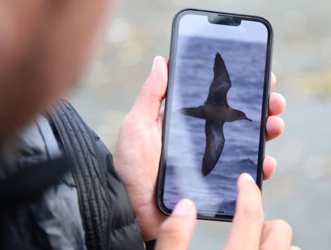 Yogurtcuolu, Hatay'da arkadalaryla birlikte gzlem yaparak yeni ku trlerini kayt altna alacaklarna inandn szlerine ekledi.