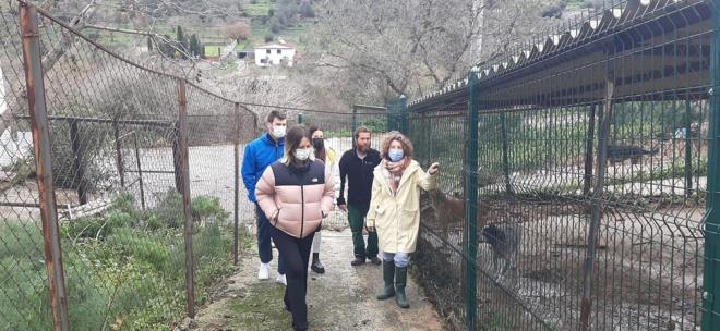 stanbul?daki evlerinde kedi, kpek ve tavuklaryla yaadklarn belirten nl ift, Bodrum?a geldiklerinde de sokak hayvanlaryla yakndan ilgilenirken, Bodrum?da sokak hayvanlarna ynelik gerekletirilecek projelere destek vermek istediklerini sylediler.
