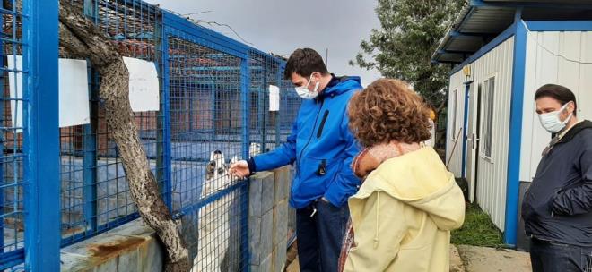 Tatltu, bir kpei severken ekilen ve satnalmasahiplen etiketi ile paylat grntde, ?Hepsi sevgi dolu gzlerle sahiplenmemizi bekliyor? ifadelerini kulland.