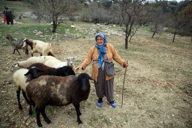 Budak, aile geimini 2 ocuuyla yaptn ve einin hastalndan dolay alamadn belirterek, almaya ve retmeye devam edeceini vurgulad.