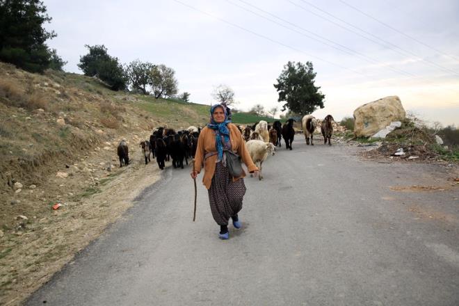 "KADINLAR ALIMALI, RETMEK GZEL BR EY"    ini severek yapt iin yorulmadn syleyen Budak, "Hayvanlarma iyi bakmak zorundaym. Mahallelinin mahsulne zarar vermesin diye balarnda beklerim. 65 yandaym. Hayvanlar ka sefer getiriyorum, gtryorum, dada otlatyorum. Yem ve su veririm. Bakmlarn yaparm. Kadnlar almal, retmek gzel bir ey. Koca eline bakmasnlar. Baarmann mutluluunu duyuyorum? dedi.