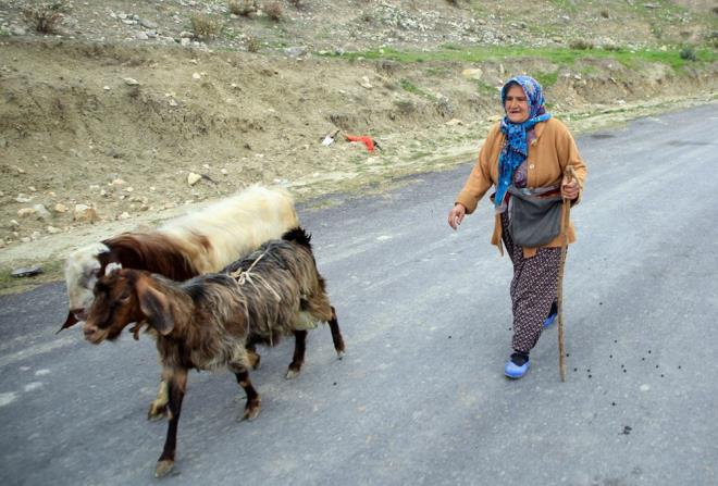 Trkiye'yi ve Toroslar ok sevdiini belirten Budak, Cumhurbakan Recep Tayyip Erdoan ile tanmay da istediini syledi.