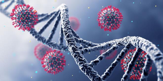 Ancak, srail'in agresif alama abalar, son haftalardaki Omicron salgnn durduramad. Varyant, rekor dzeyde enfeksiyon seviyelerine neden oldu ve ciddi ekilde hasta olanlarn says nceki dalgalarn altnda kalsa da, giderek artan sayda insan hastaneye gnderdi.