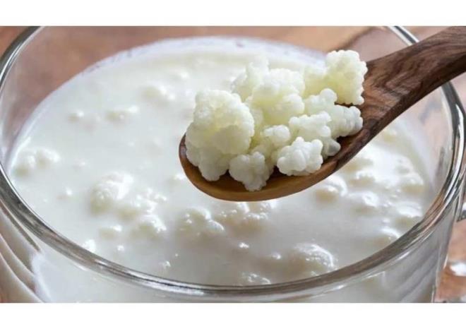 Kefir retiminde bakteri fermantasyonu ile birlikte sindirim sistemi sal iin nem tayan, asetik asit, btirik asit gibi ksa zincirli ya asitleri ve sal koruyan metabolik rnler oluur.