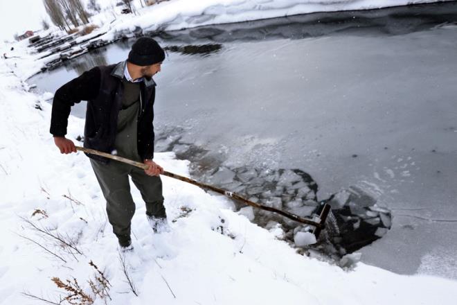 Yaklak 30 yldr balklk yapan Selim Tanrver, k dnemini iine alan 7 aylk sezonda 70 bin balk yetitirdiklerini syledi.