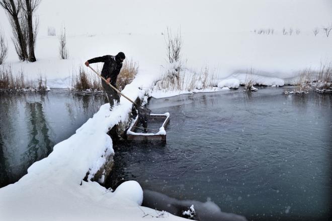 "SOUKTAN ELMZ AYAIMIZ TUTMUYOR"    Tanrver, "Burada duralm ki bu bal bytebilelim. Yoksa avc hayvanlar bunlarn birinci dman. Hrszlk riski de var. Bir de srekli hastalanyoruz. Barakamzda soba yakyoruz, ierisi snyor ama sk sk darya kmak zorundayz. Havuz kapaklarn temizlememiz gerekiyor. Bala yem atmak zorundayz. Bunlar yaparken de yoruz. Souktan elimiz ayamz tutmuyor" diye konutu.