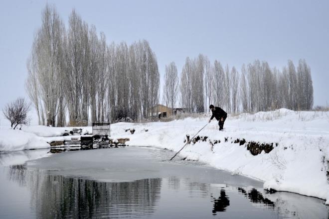 Alabaln souk su koullarnda yetitiini belirten Tanrver, yaz dneminde suyun azalmas ve snmas nedeniyle retim yapamadklarn dile getirdi.