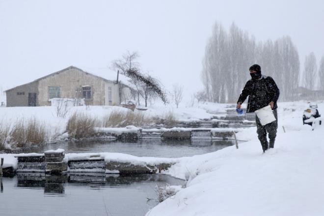 Tanrver, ilerinin meakkatli olduunu ifade ederek, "Ar souklarda balk yem yemiyor. Suyun yz donduu iin yem atamadmz zamanlar oluyor. Baln bymesi de gecikiyor. Kar yad, bereket iyi oldu. Varsn bir ay sonra olsun balmz. nemli olan rahmet" dedi.