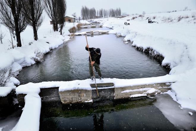 Srekli buz tutan havuzlarn yanndaki barakalarda kalan balklar, her gn sopa ve krekle buz krma mesaisinin ardndan balklar yemliyor. Ar souk nedeniyle havuzlarn dibinde toplanan balklar, dibe ken yemlerle besleniyor.