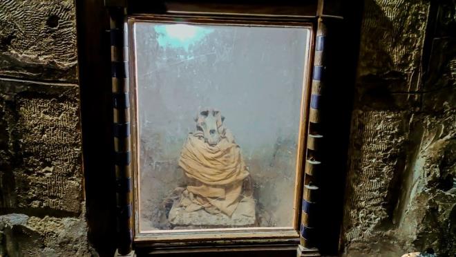 Mezarln bir baka ziyaretisi Dnya Ahmed, "Hayvanlar mumyalayan ve defneden khin Ankhor'un mezarlardaki tasarm ok etkileyici. zerinden binlerce yl gemesine ramen mezarlar ilk gnk ihtiamn koruyor? eklinde konutu.