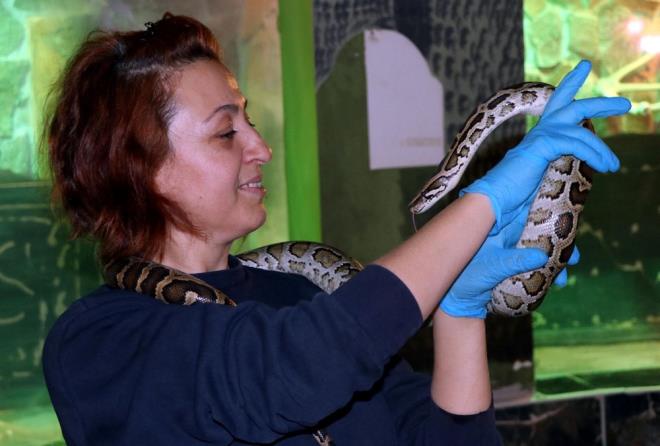 Kayseri'de yaayan 3 ocuk annesi Sevda Engr (46), 2016'da Kocasinan ilesinde bulunan Anadolu Harikalar Diyarndaki Hayvanat Bahesi'nde gvenlik grevlisi olarak ie balad.