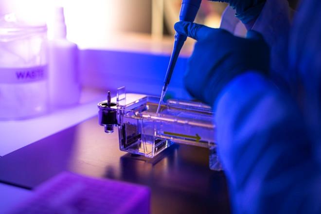 alma ile ilgili raporda yalanma srecinin tamamen tersine evrilmesinin muhtemelen imkansz olduunu ancak daha ksa mrlere yol aan faktrleri belirlemek, yalanma srecini yavalatabileceini vurgulad.    Aratrmann banda yer alan Edinburgh niversitesi MRC nsan Genetii Birimi yesi Dr. Paul Timmers yapt aklamada, "Bu iki anahtar proteinin tanmlanmas, salkl yaam yllarnn uzatlmasna yardmc olabilir" dedi.