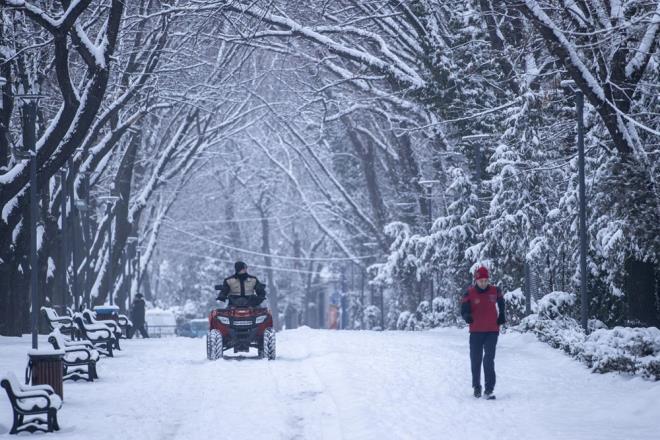 Ya, ana arterlerdeki ulamda herhangi bir soruna yol amad.