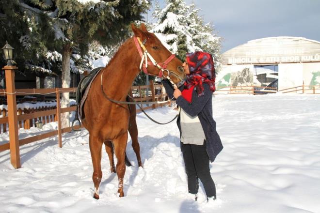 altm yerdeki patronlar da benim hayvan sevgimi grdler o yzden de belki tercih edilen oldum. 2017 ylnda 40 kadn olarak kursa yazldk alan 4 kii vard Elaz'da fakat u anda tek alan benim.''