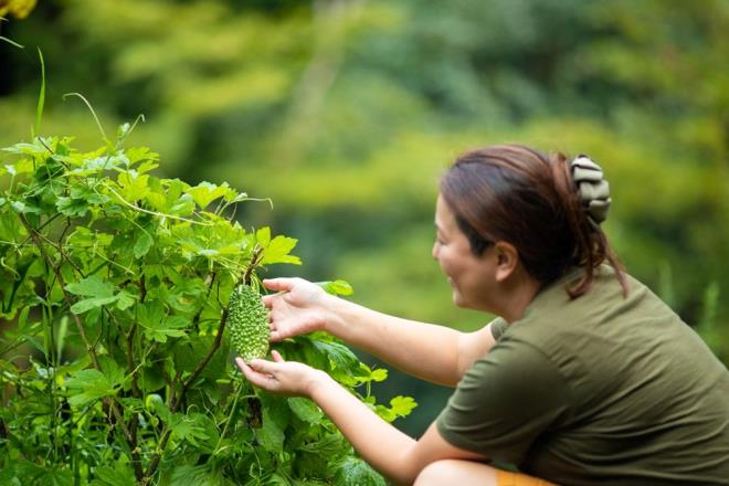 HAYATTA BR AMACINIZ OLSUN     Okinawallarn uzun mrnden ilham alan ya aratrmacs Eric Kim, yedi yldan fazla bir sredir 65 ya st 7 bin kii zerinde alt ve hayatta bir amaca sahip olmann salkl zihinsel yalanmann anahtar olduunu buldu.    Amac olan kiiler salklarna daha fazla zen gsteriyorlar  ve nleyici tbbi muayenelere giriyorlar. Ayrca, hedeflerine ulamak iin yeterince uzun sre etrafta kalmak istiyorlar.