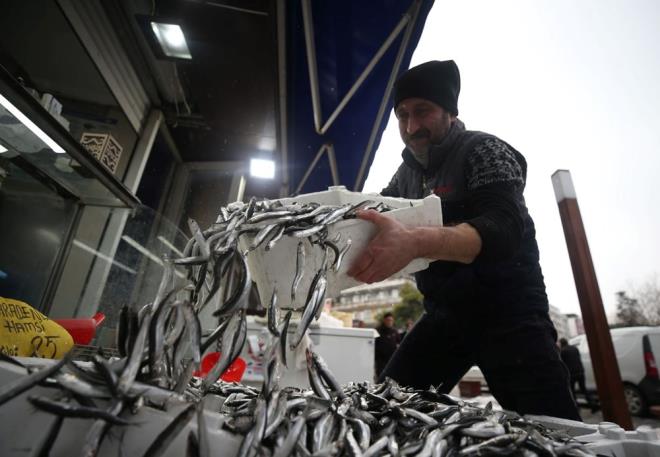 ''HAMS MD EN LEZZETL DNEMN YAIYOR"    Akakoca Su rnleri Kooperatifi Bakan Mustafa Karaka, balkln hava artlarna bal bir sektr olduunu syledi.