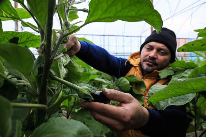 Antalya, turizm kadar rt alt retimle de adndan sz ettiriyor. Domates, biber, kabak, salatalk, patlcan bata olmak zere eitli sebzeler kentteki naylon ve cam seralarda yetitiriliyor. reticilerin elinden kan sebze ve meyveler hem i piyasaya sunuluyor hem de ihra ediliyor.