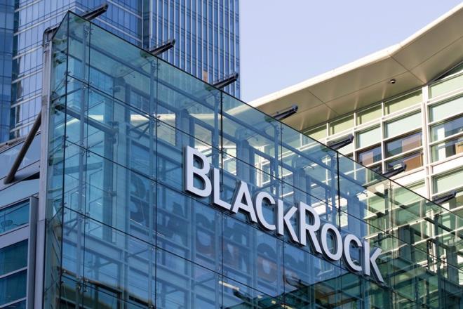 20. BLACKROCK     Menkul kymetler ve varlk ynetimi