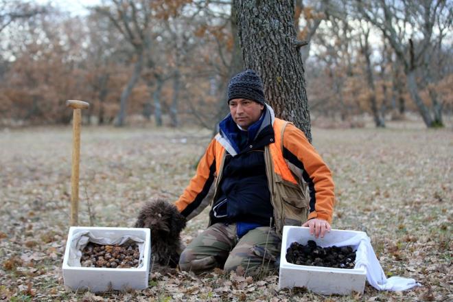 Bu alanda uzmanlatktan sonra stanbul'un stresinden uzaklamak amacyla Krklareli'ne g ettiini belirten Arslan, "Yaklak 15 yldr mantar topluyorum. Yer tespitini yaptktan sonra kpei trfn olabilecei yerlere ynlendirmeye alyoruz. Topladm trf zellikle yurt dnda ok rabet gryor. Yava yava talepler oalmaya balad ama ounluk yurt dndan." dedi.