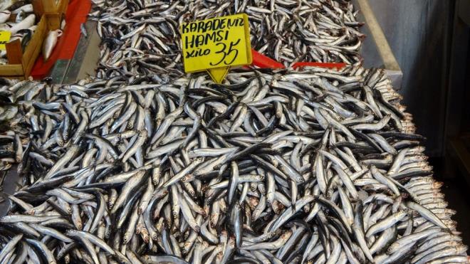 Ertrk, "Fiyatlar uygun ekilde hamsi 30 TL. Kar ya bekleniyor kar yayla beraber hamsi irileir. 10 gn sonra hamsi kesilir. Mezgit ve stavritle sezonu kapatrz. Daha denizde stavrit ve Mezgit var. Daha onlar satarz. 3 aydr balkhane olarak yattk. Hamsi 10 gn yapt, hamsi bizi kurtard? diye konutu.