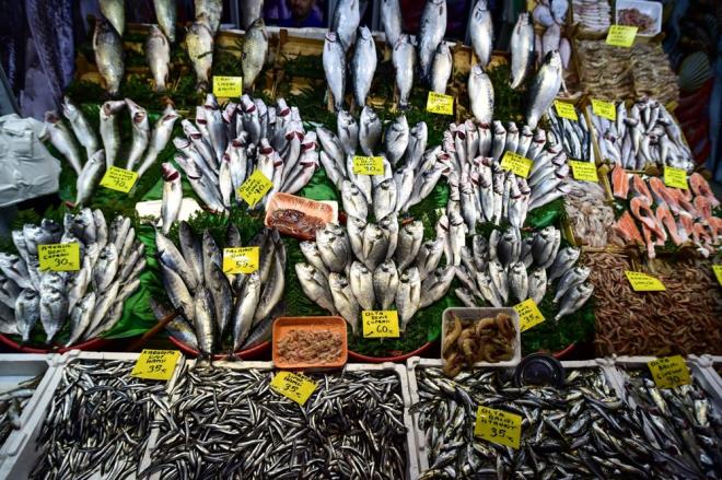 Ancak bu sezon hamsiden beklenen verim alnamad. Az olmas nedeniyle geen yln sonunda hamsinin kilosu 60 lirann zerine kt.