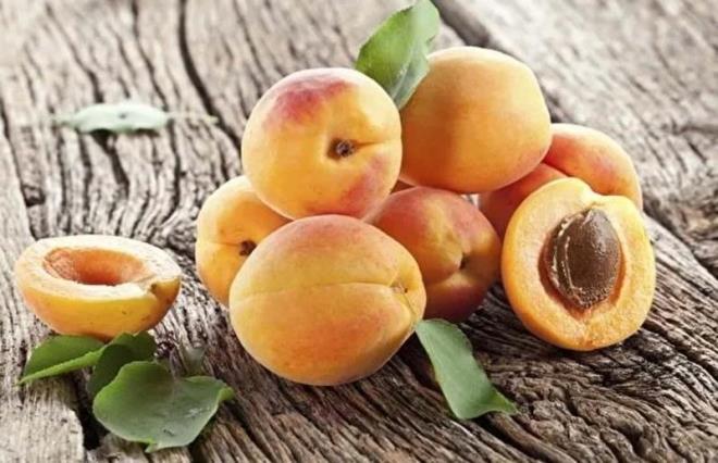 Son dercece abuk bozulan ve en ufack darbede ezilebilen kayslar yumurta kartonlarna koyarak saklayabilirsiniz.