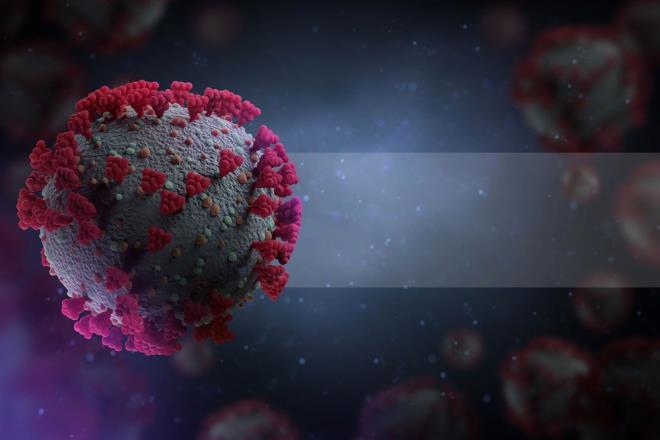Covid-19 teknik lideri, DS?nn, alt varyantn Omicron vakalarnda hzl bir art ve ardndan keskin bir d gren lkelerde yeni enfeksiyonlarda arta neden olup olmadn grmek iin BA.2'yi izlediini syledi.    Van Kerkhove, aratrmalarn devam ettiini belirtmesine ramen, her iki alt varyantn neden olduu enfeksiyonlarn ciddiyetinde bir fark belirtisi olmadn vurgulad.