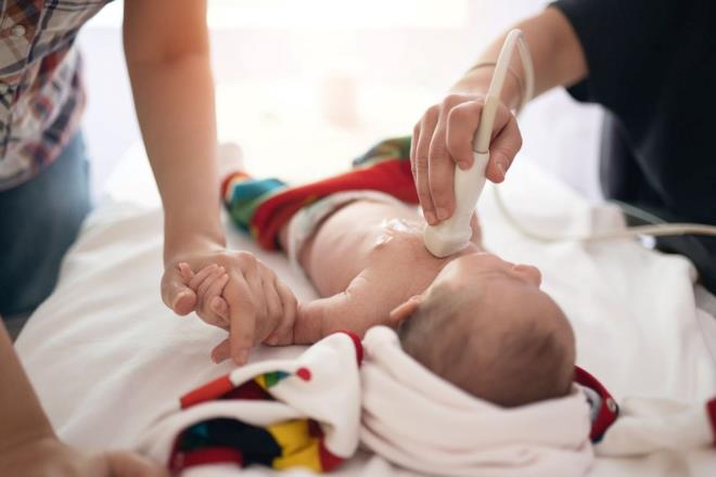 Gelecekte insan kalp hcrelerinden, insan kalbini her zamankinden daha yakndan taklit eden daha karmak biyohibrit cihazlar ina etmeyi hedefliyoruz? dedi.