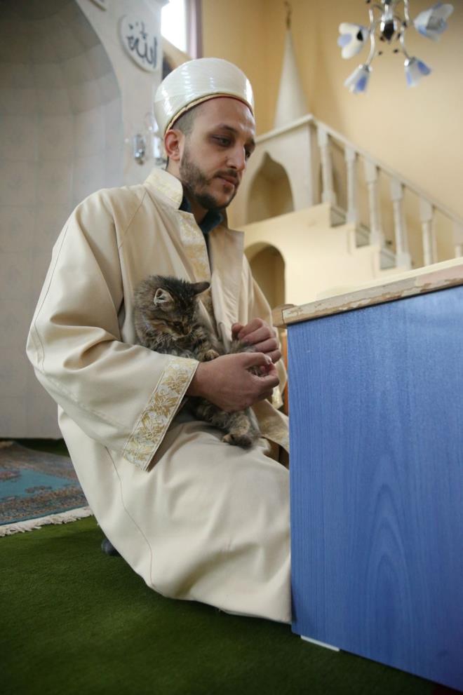 Ylmaz'n, "Zeytin" adn verdii kediye caminin kaplarn amas, Kur'an- Kerim okurken dahi ona efkat gstermesi, grenlerin dikkatini ekiyor.