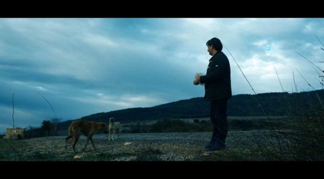 nsanlarn da bunun farknda olmasn salamak istediini vurgulayan Ylmaz, yle konutu:    "Onlarn Allah' anmalarna vesile olmak benim iin ok nemli. Yani bir kuun kilometrelerce hi durmadan yiyip imeden utuunu renen insanlar, daha ok tefekkr ediyor. Ky amur ulluunun 12 bin kilometre hi durmadan, yemek yemeden utuunu duymak, Allah' anmaya vesiledir aslnda. Bizler iin yeryzndeki her ey tefekkr aracdr."