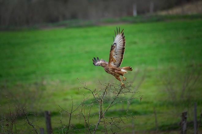 Kedisi Zeytin'in kendisini camide yalnz brakmadn, her zaman yannda olduunu dile getiren Ylmaz, cemaatin de Zeytin'e ilgi gsterdiini aktard.