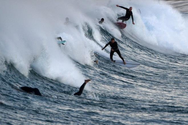 Bununla birlikte, Sidney'deki kpek bal saldrlarnn olduka daha nce olduka  nadir olduu,nk ehrin sularnda uzun sredir alar ve dier caydrc ekipmanlarn bulunduu aktarld.    Jet skilerde yola kan cankurtaranlar, kpekbaln bulmak iin ehrin dousundaki Bondi'den gneydeki Cronulla'ya kadar 25 km'lik bir mesafe boyunca suda devriye gezdi. Katil kpek baln bulmak iin ayrca helikopter ve insansz hava aralarnn kullanld da akland.