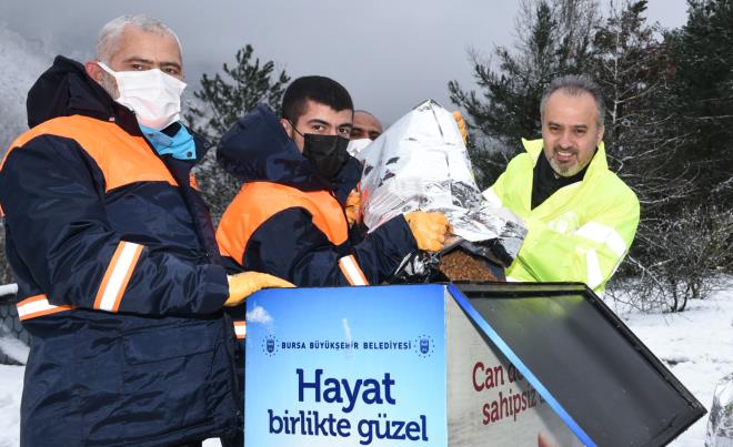 Getiimiz yl Soukkuyu Sokak Hayvanlar Tedavi Merkezi'nde 14 bin 524 tedavi, 10 bin 296 parazit uygulamas, 5 bin 940 adet ksrlatrma, 4 bin 992 alama ve 329 acil mdahale gerekletiren Bykehir Belediyesi, sahipsiz hayvanlar besleme faaliyetleri noktasnda rnek almalar hayata geirdi. Pandeminin bandan bu yana, ilalama personelleri ve gnll hayvan severler ile birlikte 160 ton mama datm yapld. Ayrca havalarn soumas ile birlikte can dostlarnn barnma ve beslenmesi iin 17 ilede ormanlk alanlar, baraj kenarlar, park alanlar, sahil kenarlar gibi yerlere 750 adet kpek kulbesi, 250 adet betonmatik-suluk ile 70 adet byk mamamatik konuldu ve 1250 noktada besleme almalar yapld.