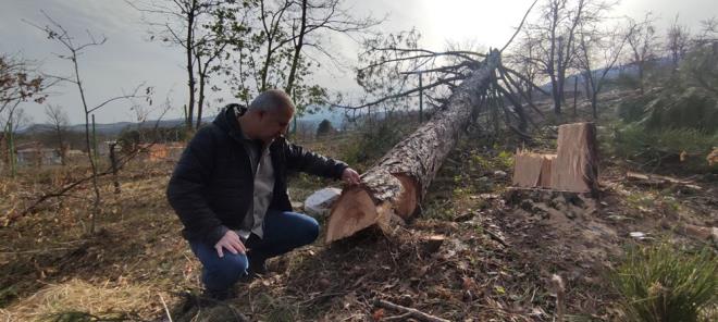 Milli Emlak?a ait buna benzer ok sayda mlk olduunu syleyen Demir, "Buralar Milli Emlak kiralayp gelir elde ediyor. Bu kiralanan alanlarn vasfnn yitirilmemesi lazm, yani buras orman vasfnda kiralanyorsa bu ekilde kullanlmal. Tarm alan vasfnda kiralanyorsa bu ekilde kullanlmal" dedi.