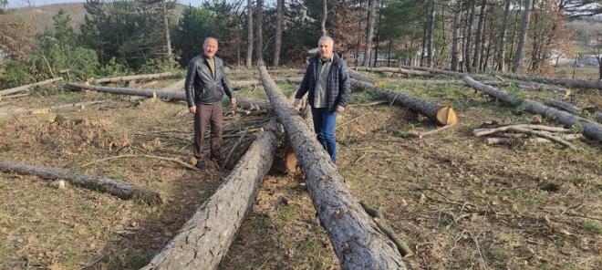 Kiralad ormandaki tm aalar kesmek isteyen vatandaa kyller tepki gsterti.