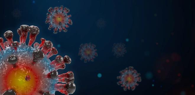 Sato, verdii demete, "Bildiiniz gibi BA.2'ye 'gizli Omicron' deniyor" derken, bunun nedeninin, PCR testlerinde Omicron'un yapt gibi bir S-gen hedef hatas olarak grnmemesi olduunun altn izildi.