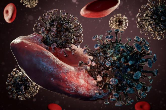 Dnya Salk rgt'nn haftalk epidemiyolojik raporuna gre baskn olan lkeler Banglade, Brunei, in, Danimarka, Guam, Hindistan, Karada, Nepal, Pakistan ve Filipinler oldu.