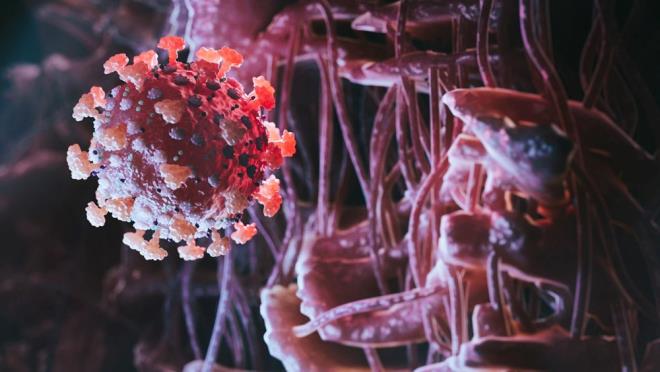 Japonya?da, Omicron varyantnn tespit edilen alt varyant BA.2 ile ilgili yeni bir aratrma yaymland.    almada, virs varyantnn bir alt tr olan BA.2?nin, dier mutasyonlara gre daha hzl yaylabildii, ayn zamanda daha ciddi hastalklara neden olabilecei belirtildi.