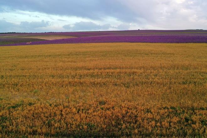Rusya - Ukrayna arasndaki kriz, karlkl admlar ve yaptrmlar ile devam ederken, scak tansiyonun Avrupa lkelerini derinden etkileyecei ortaya kt.    Rusya?nn olas Ukrayna igali sonrasnda Avrupa?nn tahl ambarnn derinden etkilenecei belirtilirken, krizin uzun srmesinin lkelerde ekmek ktlna neden olabilecei aktarld.