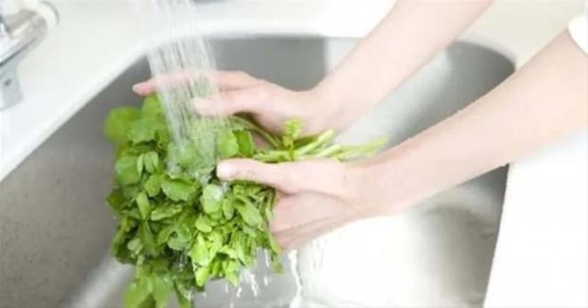 Yeil Sebzeler Kvrck lahana, en popler yeilliklerden biri, ancak ayn zamanda FDA'nn listesinde ilk srada yer alyor.Yalnzca lahana deil; marul, spanak, roka gibi i tkettiimiz dier yeillikler de ayn listede en tehlikeli yiyeceklerin ban ekiyor.Gdalara bal salgnlar ve hastalklar sz konusu olunca, Koli Basili gibi bakteriler nedeniyle fatura en ok yeilliklere kesiliyor. Bu yzden, yeillikleri tketmeden nce mutlaka iyice ykamak gerekiyor.