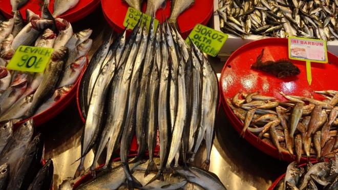 "AZ OLDUU N FYAT YKSEK"    Balk esnaflarndan Gkmen Aydn da ?Hamsi kaybolunca istavrit azalmaya balad. Balk fiyatlar, mezgit 50 TL, iri istavrit 35 TL, barbun 60 TL, alabalk 50 TL, upra 80 TL, levrek 90 TL, iri sargan 100 TL. Dolaysyla balk az olduu iin fiyat da yksek oluyor? eklinde konutu.