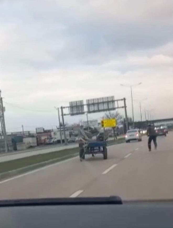 Bu ekilde uzun bir sre yoluna devam eden at, sahibi tarafndan yakaland.    Sahibinin ise at arabasn koarak yakalamaya almas dier srcler tarafndan cep telefon kamerasyla kaydedildi.