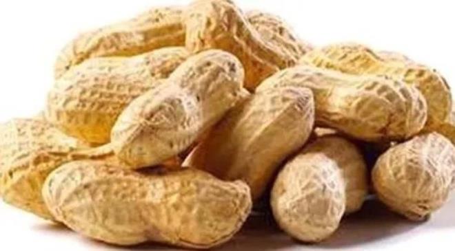 Kann phtlamas, kas gc ve sinir iletimi iin gerekli olan kalsiyum minerali ierir. Posal bir besindir. Posal besinler kanser yapc zararl maddelerin barsakta kalma sresini ksaltt ve barsak duvar ile temasn azaltt iin kanserden korunmada faydal olurlar.