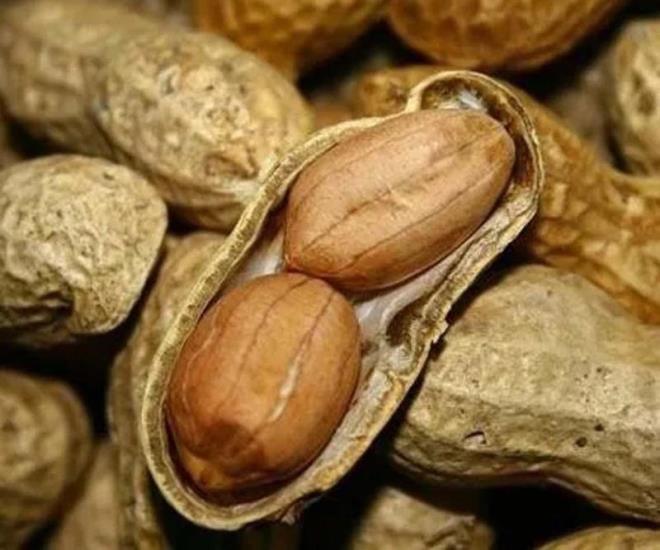 erdii B3 vitamini kolesterol drr, dolam arttrr.