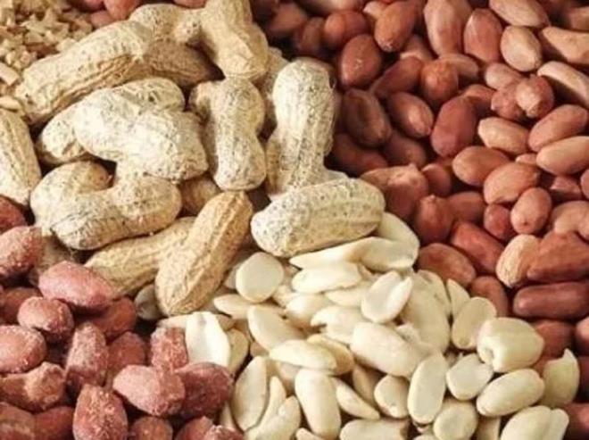 renme gibi beyin fonksiyonlar iin gerekli olan bir vitamindir.